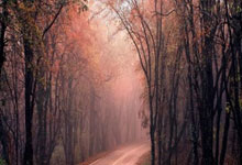 PG电子官网:下半场发力锁定美加墨!新西兰第80分钟再下一城 3-0新喀里多尼亚.