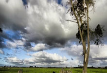 斯诺克球员锦标赛:尼尔-罗伯逊6-3击败塞尔比,.