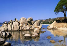 能实现吗?昨日森林狼主场有球迷身穿杜兰特35号森林狼球衣.